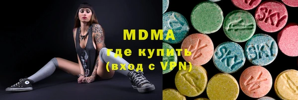стаф Тайга