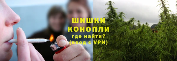 метадон Тавда