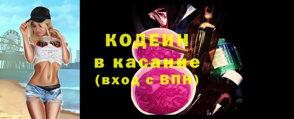 стаф Тайга