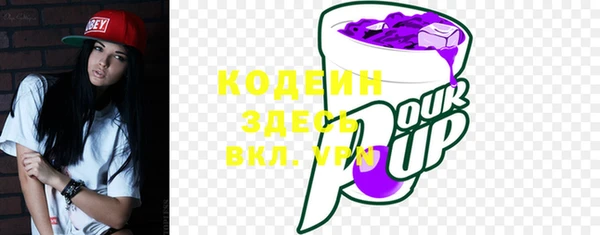стаф Тайга