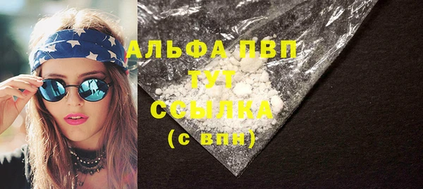 стаф Тайга