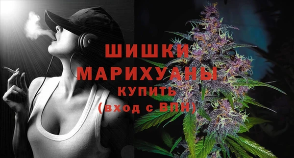 стаф Тайга