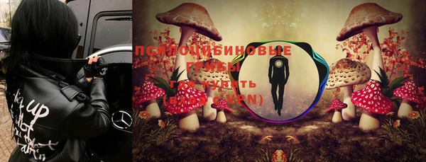 мет Аркадак