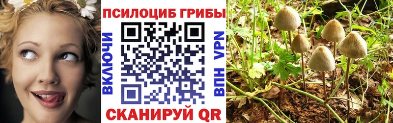 ссылка на мегу маркетплейс  Фатеж  Галлюциногенные грибы Cubensis 